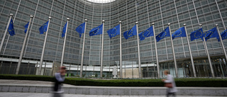 EU-parlamentariker avslöjad som rysk agent
