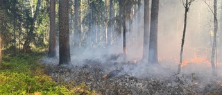 Risk för skogsbrand – då eldade länsstyrelsen