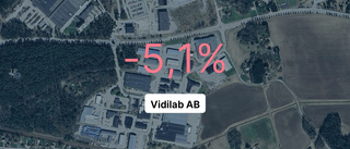 Vidilab AB: Här är årsredovisningen för 2023