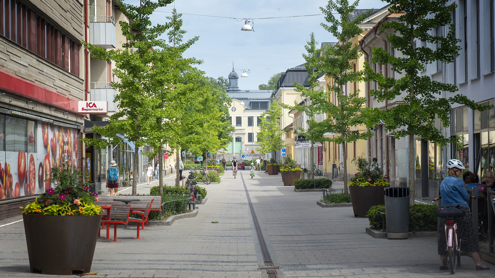 "Tips: Ta bort alla träd. Ta bort alla perenner, sommarblommor" skriver insändarskribenten angående Östra storgatan i Nyköping. Arkivbild