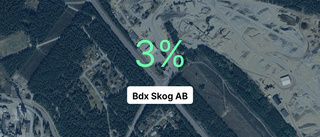 Så gick det för Bdx Skog AB i fjol