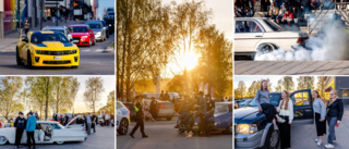 Bildextra: Vrålåk, epadunk och solsken – bilarna intog Luleå