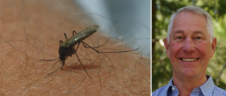 Tidig myggattack drabbar Enköping – så klarar du dig