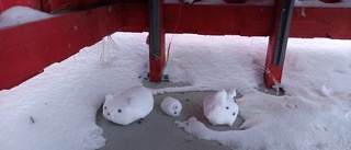 Här väntar (snö)djuren på bussen             