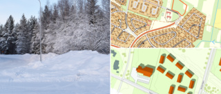 Skebo unveils plans for 80 new Skellefteå homes