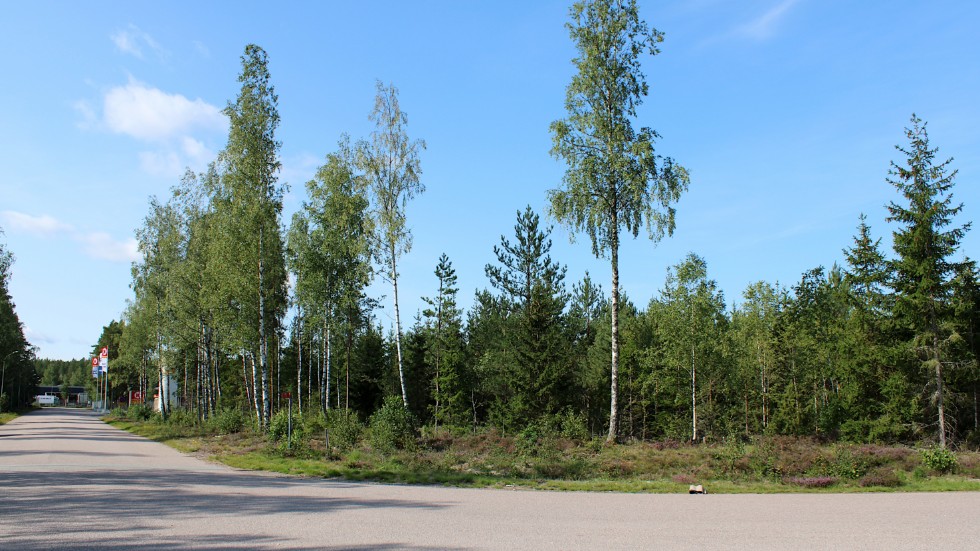 Området där batterilagret är tänkt att byggas är i dagsläget täckt av skog. Fastigheten ligger vid korsningen mellan Transportgatan och Industrigatan på Nyhagens industriområde.