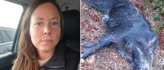 Fia hittade dött vildsvin i skogen: "Vågade inte röra mig"