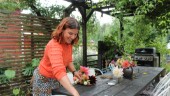 Madelene, 39, har ett blomsterhav i sin trädgård