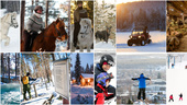No travel required: Skellefteå's winter outdoor magic
