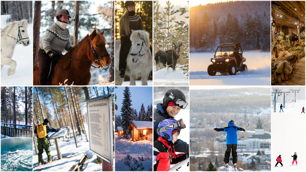 Experience Skellefteå and its surroundings this winter.