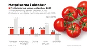 Prissmäll på tomater – laxen allt billigare