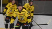 Hockeyskrällen: Tidigare VIK-lånet går till allsvensk konkurrent