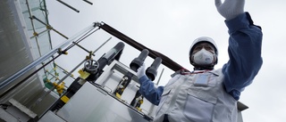 Salt och Godzilla nya inslag i Fukushimagrälet
