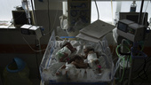 Två för tidigt födda dog före evakuering