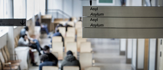 Trots flyktingkris – färre väntas till Sverige
