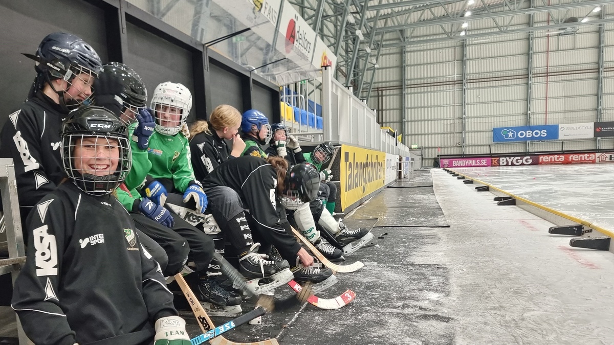 Derbylag på is "Lite av ett kosläpp" Mjölbysuccé i Stockholm