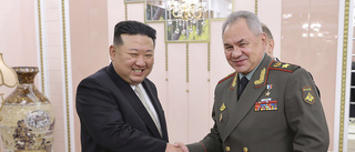 Ryssland och Kina firar med Nordkorea