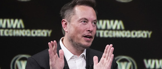 Musk vill säga adjö till Twitter-fågeln