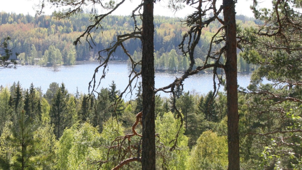 Naturskyddsföreningen Östergötland anser att olika naturnära skogsbruksmetoder är en självklarhet för den kommun som agerar framåtsyftande, skriver debattören. 