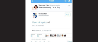 Politiker ägd av Norrbotten