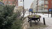Nu är snön tillbaka – SMHI varnar för trafikkaos