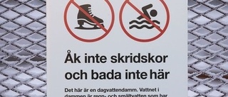 Varningen: Sluta åk skridsko på dammarna