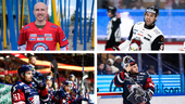 MATCHGUIDEN, Malmö-LHC: • "Hans inträde kan knappt överskattas" 