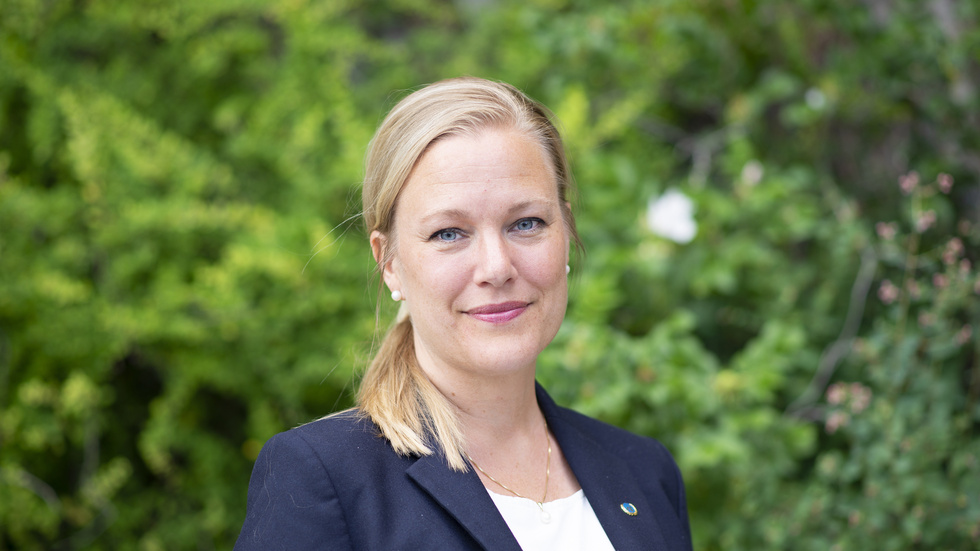Annelie Börjesson som är ordförande i Svenska FN-förbundet sammanfattar året som gått och blickar framåt mot FN: s framtidsmöte i september. 