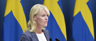 Sverige samlar stöd mot EU-protektionism
