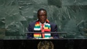 Öka stödet till demokratiska krafter i Zimbabwe