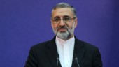 Iran bekräftar fall med gripna svenskar