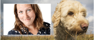 Jenny Persson: "Vi hundägare är de värsta folk vet"