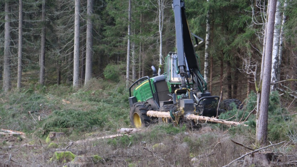 Intresset för att äga och bruka skog är på uppåtgående, liksom priserna på skogsmark. De senaste åren har trenden varit tydlig, visar skogsmarksrapporten som  presenteras av Ludvig & CO.