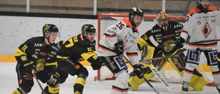 BETYG: De spelarna var bäst i Vimmerby Hockey