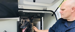 Så blir polisens nya hundbilar – ris och ros av hund och förare