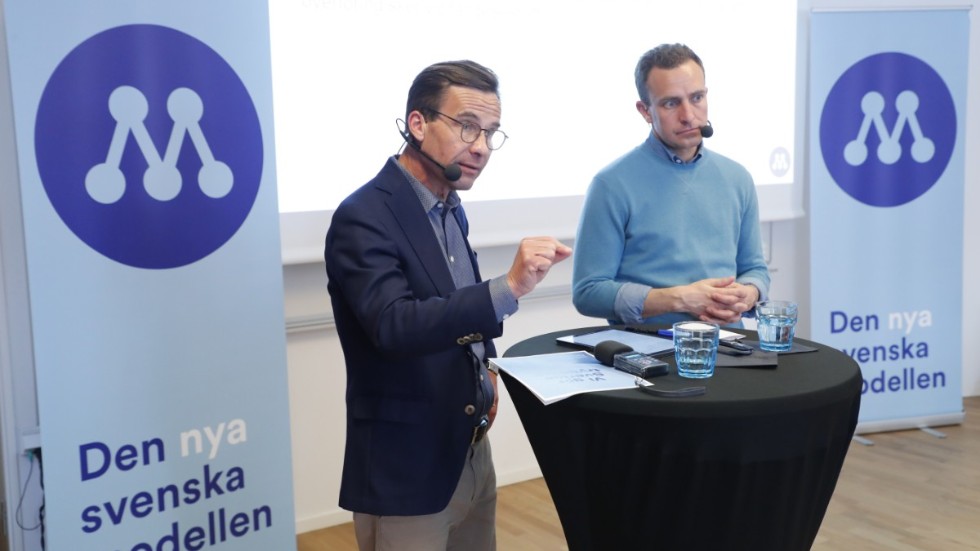Moderata företrädare, däribland partiets EU-parlamentariker Tobias Tobé, har gjort sig skyldiga till att använda sverigedemokratiskt språkbruk.