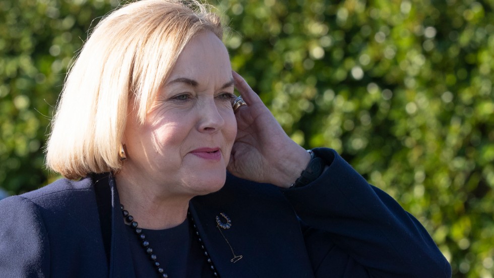 Judith Collins har försökt vända trenden för Nationella partiet under de månader hon lett det, men än har det inte skett något större lyft. Arkivbild.