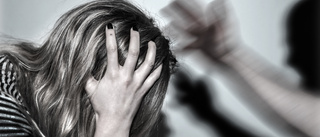 Älvsbybo häktad för misshandel och barnfridsbrott – nekar till allt