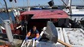 Stort fall för norsk fiskexport