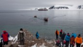 Norge förbjuder kryssningar till Svalbard