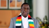 Öka stödet till de demokratiska krafterna i Zimbabwe