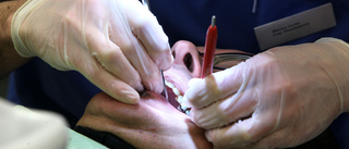 IVO: "Grovt oskicklig" tandläkare borde stängas av