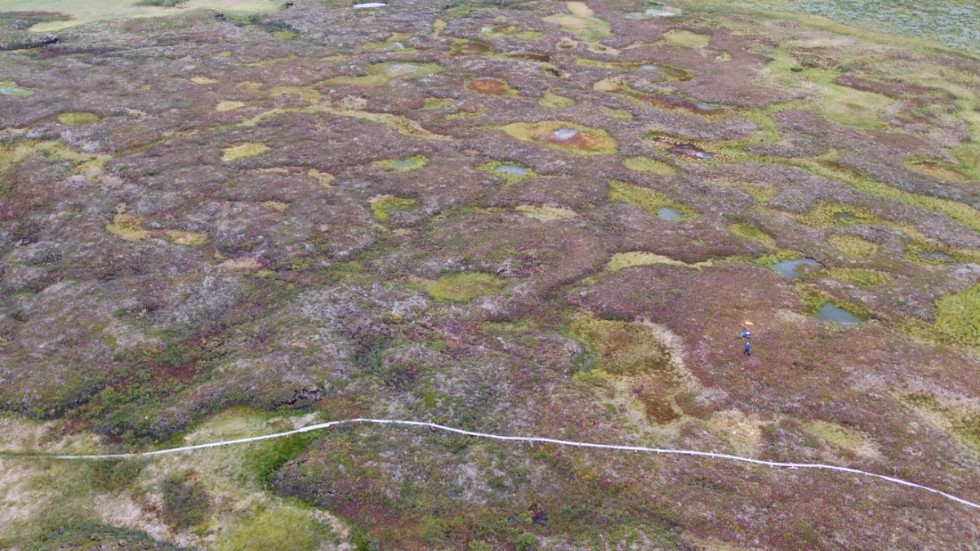 Vissátvuopmi är Sveriges största sammanhängande palsmyr. Här syns palsarna som gråbruna upphöjningar, samt några termokarstsjöar som bildas där palsar är på väg att försvinna.