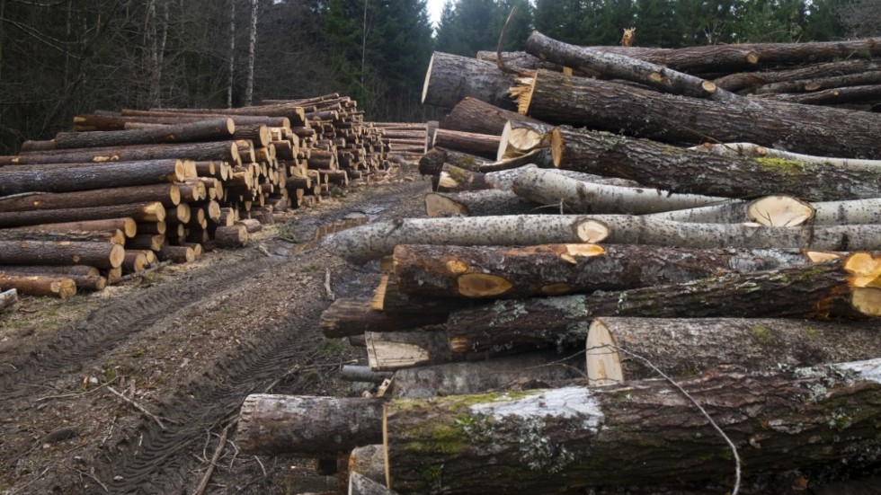 När skogsindustrin avverkar träd avbryts den stora klimatnytta som träden utför - nämligen att fånga in koldioxid från atmosfären. Skriver Lars Almström, Klimatsvaret.