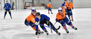 Härndahl isens kung efter Sirius oerhörda vändning