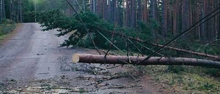 Elen kan dröja i veckor