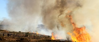 VARNING: Hög risk för gräsbränder i länet