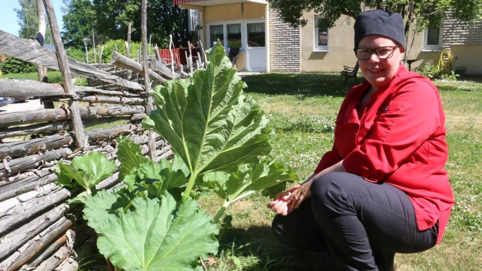 Micaela Söderlund plockar rabarber  till pajen. I Lindgårdens egen trädgård. Mer närproducerat än så blir det inte.