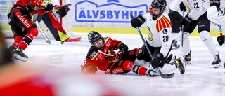 Så ställer Luleå Hockey/MSSK upp i SM-finalen