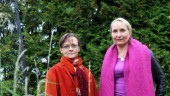 Motalakonstnärer föreläser i Helsingfors